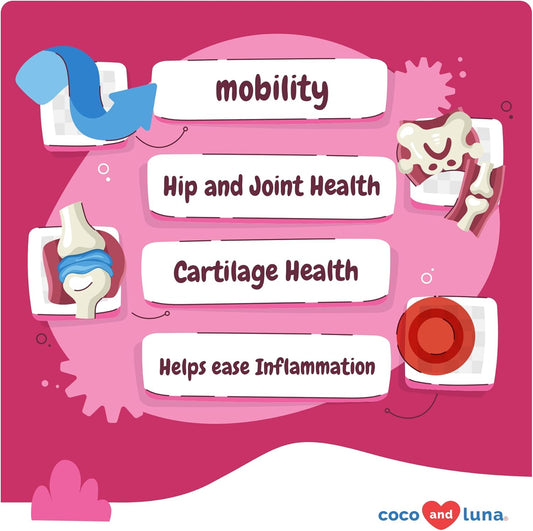 Hip and Joint Support for Dogs - Max Strength - 90 Soft Chews - with Green Lipped Mussel, Glucosamine, Turmeric, Fish Oil, MSM and Yucca Schidigera.