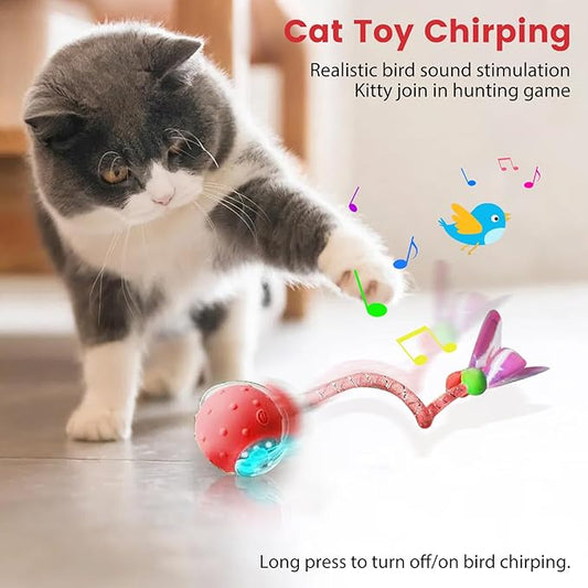 Interactive Cat Toys Ball for Indoor Cats Fast Rolling on Carpet,Colorful Plastic Spring Cat Toys 5Suit ,Automatic Kitten Toys for Bored Indoor Adult Cats,Motion Activated