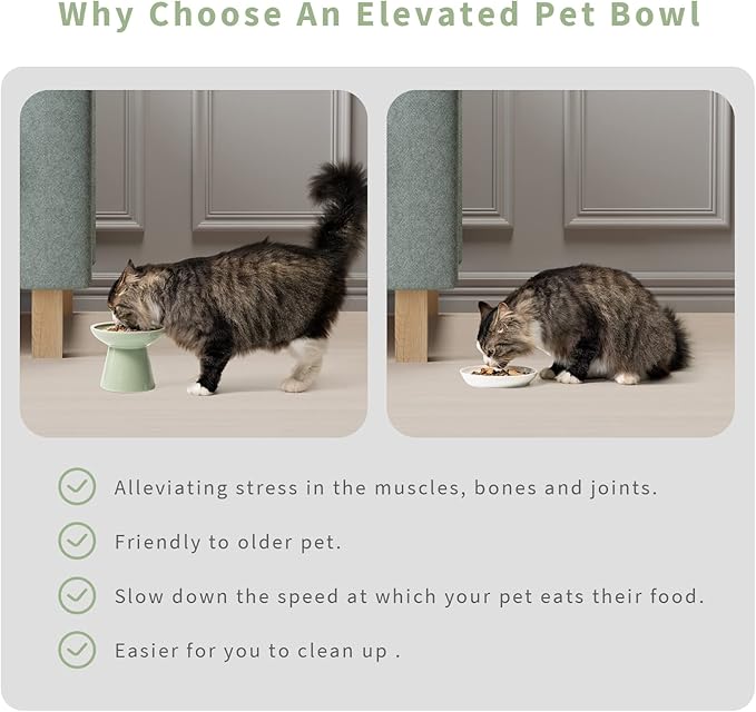 Extra Wide Elevated Ceramic Cat Water Bowl - 6.2" Deeper Dish for Whisker Fatigue Relief, 5" Height for Easy Feeding, Lead & Cadmium Free, Durable Raised Cat Bowls, Green