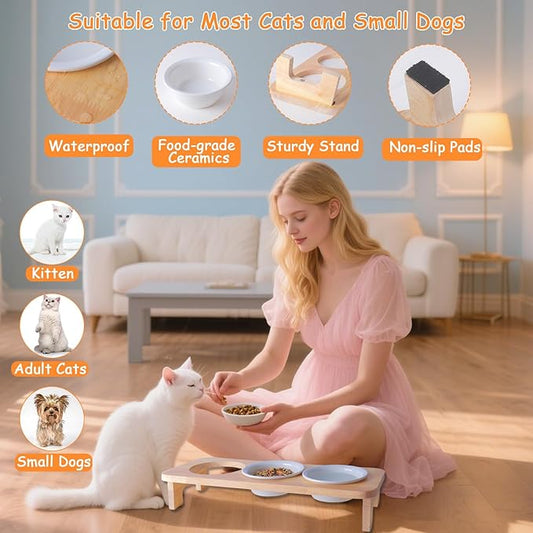 3 Elevated Cat Food and Water Bowl Set with Stand,15°Tilted Raised Pet Bowlfor Kittens/Puppy with 3 Ceremic Dishes, Indoor Cat Food Bowl,Anti-Vomit & Whisker Fatigue Relief, Dishwasher Safe