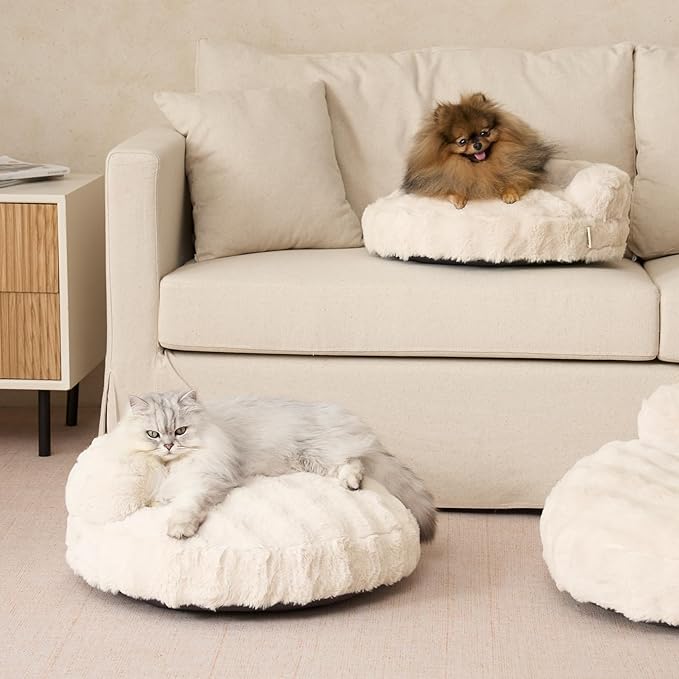 EHEYCIGA Small Dog Bed and Cat Couch for Puppy and Kitten - Fluffy Faux Rabbit Fur Pet Sofa with Washable Removable Cover, Waterproof and Non-Slip, 23 Inch Cream