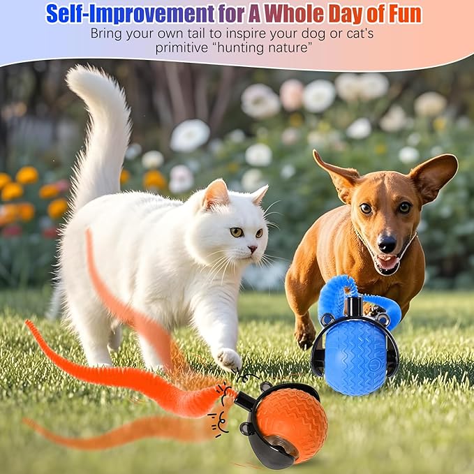 2PCS Interactive Cat Toy for Indoor Cats, Speedy Ball with Tail, Automatic Moving Cat Balls for Bored Indoor Adult Cats, Two Speed Adjustment,360°Automatic Rolling Ball Toy (Blue+Orange)