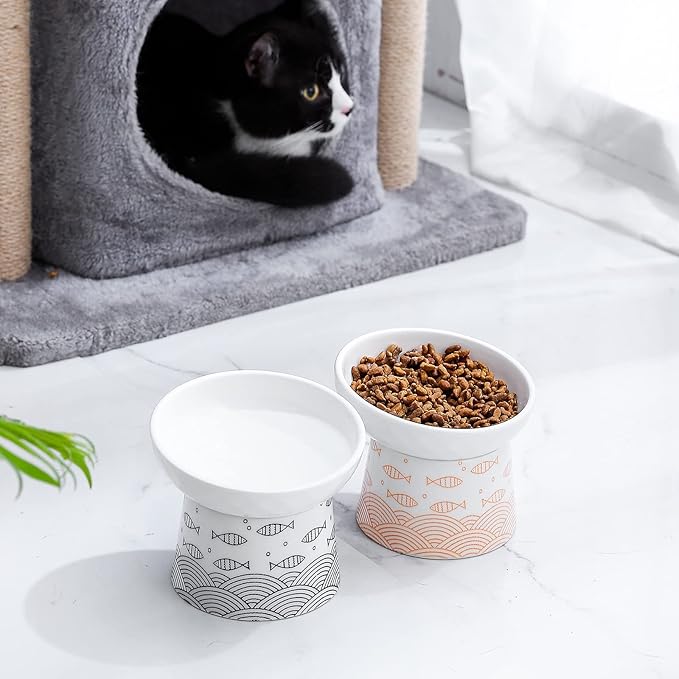 OMAYKEY Ceramic Raised Cat Bowls, Elevated Tilted Cat Food and Water Bowls Set, Porcelain Stress Free Pet Feeder Dish for Kitty Cats and Small Dogs, Dishwasher and Microwave Safe, Set of 2