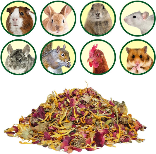 Flower Fusion Treat - Healthy Natural Dried Flower Herbivore Treat - Chinchillas, Guinea Pigs, Rabbits, Prairie Dogs, Degus, Hamsters, Rats, Squirrels, Sugar Gliders & Other Small Pets (0.85 oz)