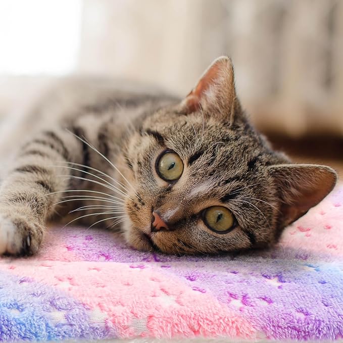 2 Pack Cat Blanket for Indoor Cat, Warm Calming Kitten & Puppy Beds for Anxiety and Stress, Washable Small Dog Mat for Crate, Fuzzy Pet Blankets