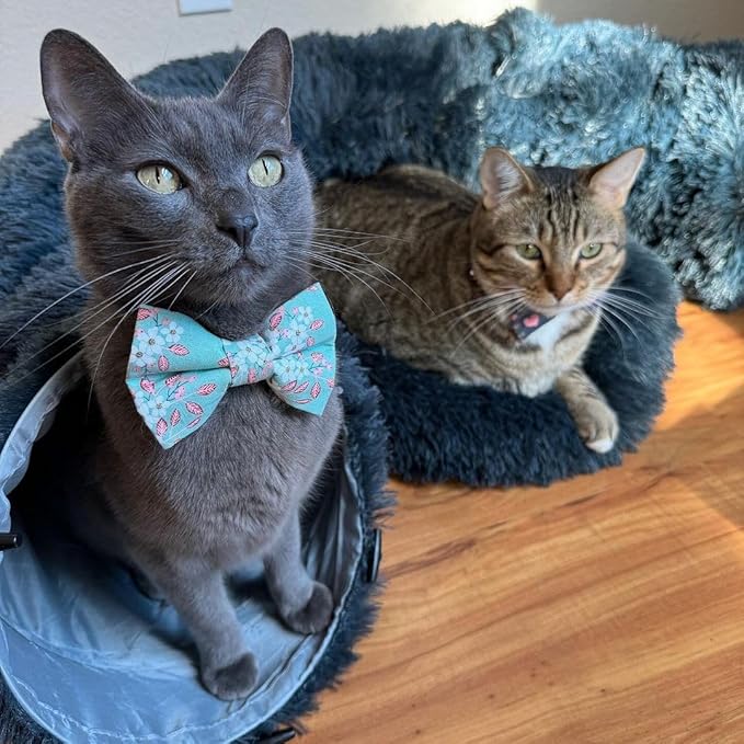 Cat Tunnels for Indoor Cats Large – Fluffy Donut Tunnel Bed with Soft Mat & Plush Toy – Peekaboo Cat Cave Bed for Napping & Play – Dark Gray, The Cat Park