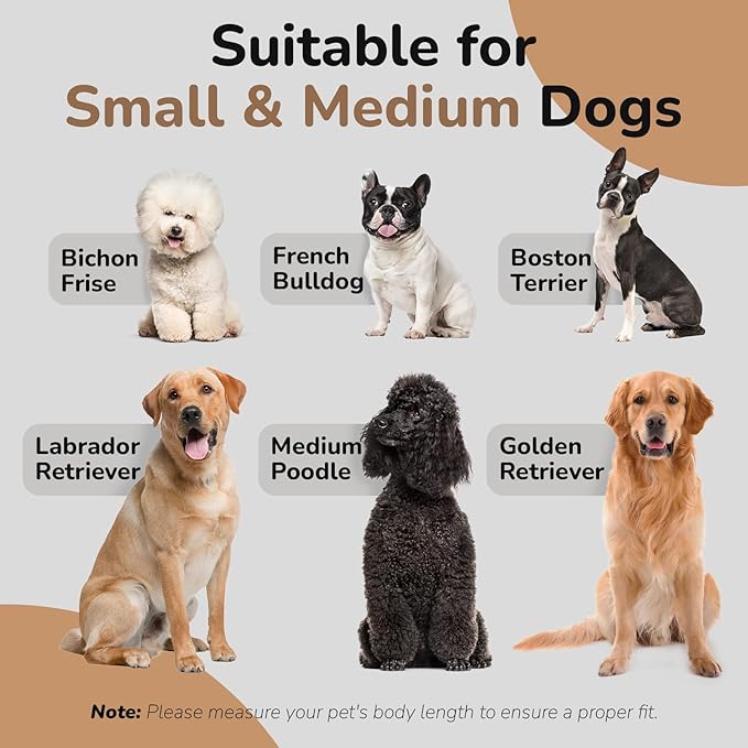 dCee Dog Sofa Bed, 33 Inch Light Gray Couch for Medium Dogs up to 70 Lbs, Offering Soft Velvety Comfort, Joint Support, and a Washable Cushion Cover for Practical Cleaning