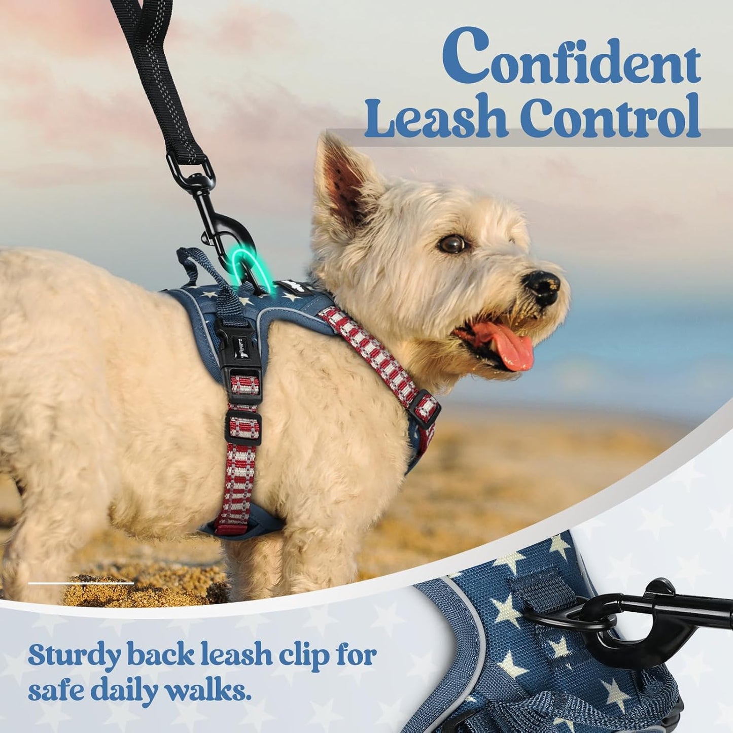 rabbitgoo Dog Harness No Pull with 2 Leash Clips, Adjustable Soft Padded, Reflective Oxford No Choke Pet Vest with Easy Control Handle for Large Dogs, Blue Star, XS