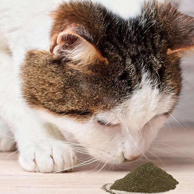 Cat Toys - Blend Silvervine Powder 45g with 5 Reusable Pouches, Catnip Alternative, 100% Natural Silver Vine Gall Fruit Powder & Silvervine Leaves, Suitable for All Cat Ages