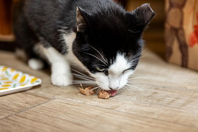 hotspot pets Freeze Dried Tuna Treats for Cats & Dogs - Made in USA, 1lb Value Bag, Single Ingredient, All Natural -Healthy, High Protein, Perfect for Training, Topper or Snack