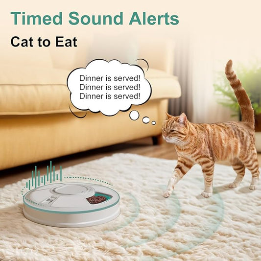 Automatic Cat Feeder, 6 Meal Timed Pet Dispenser Easily Programmable &Easy to Clean, Auto Feeder for Cats/Small Dogs (Green)