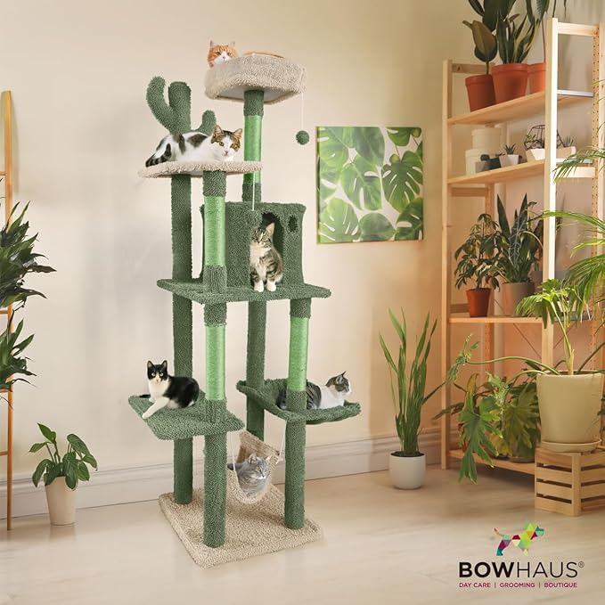 CAPHAUS Cactus Cat Tree for Indoor Cats, Cute 70-Inch Cat Climbing Play Tower with Top Perch for Large Cats Kittens, Multi-Level Cat Activity Tree with Scratching Posts, Hammock, Cat Cave Condo