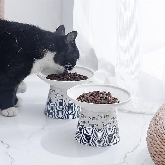 OMAYKEY Extra Wide Cat Bowls, 6.25 Inch Ceramic Raised Cat Bowl Set for Food & Water, Wide Shallow Pet Food Dish, Anti Vomiting, Stress Free, Whisker Fatigue, 2 Packs, Blue