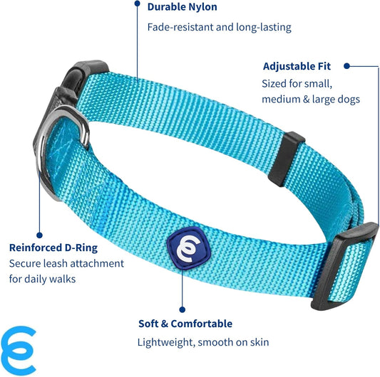 Blueberry Pet Essentials Turquoise Dog Collar | Adjustable Eco-Friendly Nylon Strap | Dog Collars for Small Dogs, Boy Dog Collar, Puppy Collar | 12-16 Inches