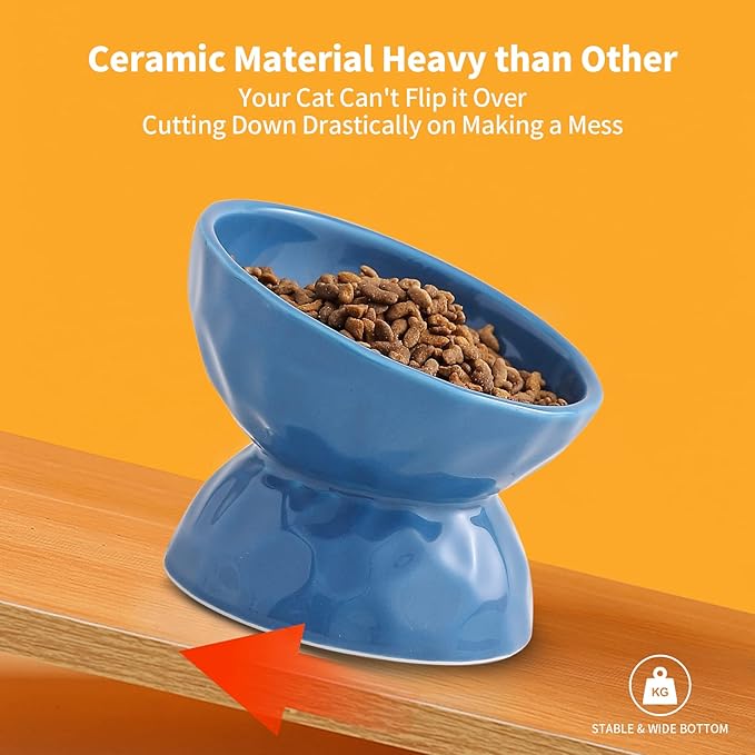 AOMRYOM Raised Cat Food Bowl, Ceramic Elevated Tilted Cat Bowls, Pet Bowl Dish Set for Cats and Small Dogs, Protect Cat's Spine, White & Blue, Set of 2, Dishwasher and Microwave Safe