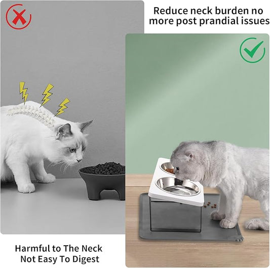 Upgraded Elevated Cat Bowls with Food Mat,15°Tilted Stand Anti Vomiting Raised Cat Dishes for Food and Water,2 Stainless Steel Bowls for Cats and Puppy(White)
