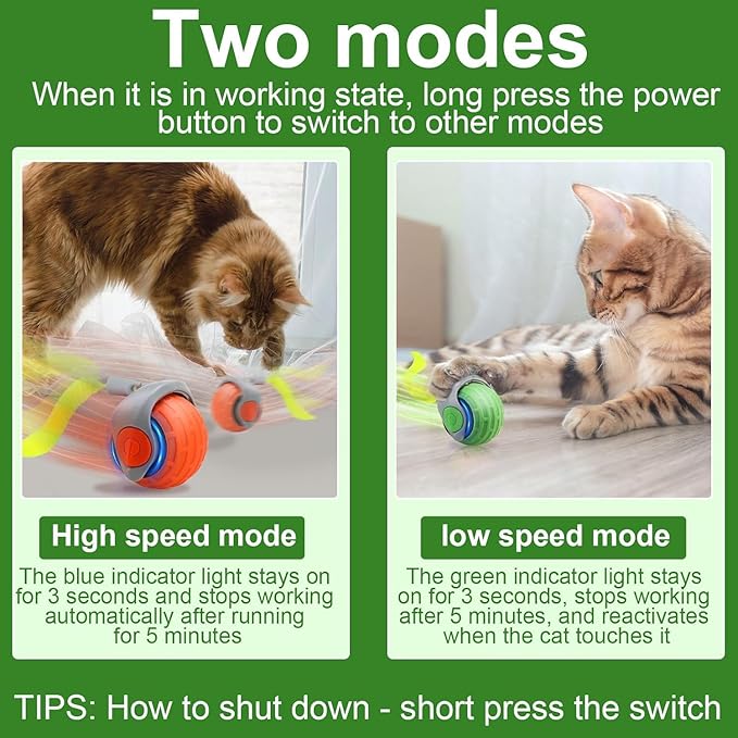 Speedy Tail Interactive Cat Toy Ball, 2025 New Generation, Indoor Play with Replacement Tail (Green-Orange)