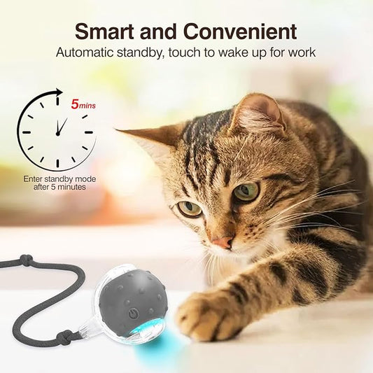 Electric Interactive Cat Toy Ball - Automatic Rolling Silicone Cat Toys for Indoor Cats, Durable Chew-Proof Motorized Kitty Ball with LED Light, Fun Exercise Toys for Bored Kittens(Grey)