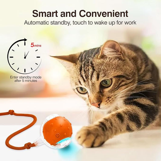 Electric Interactive Cat Toy Ball - Automatic Rolling Silicone Cat Toys for Indoor Cats, Durable Chew-Proof Motorized Kitty Ball with LED Light, Fun Exercise Toys for Bored Kittens(Orange)