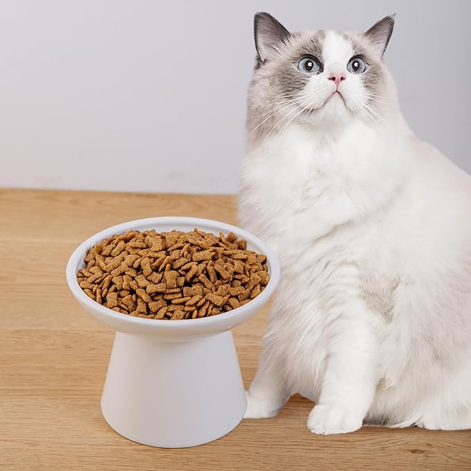 Extra Wide Elevated Cat Feeder Set, Ceramic Cat Bowl with Food & Water, Shallow Dish to Prevent Whisker Fatigue, Lead & Cadmium Free - Great Height for Adult Cats (White, 1 pc)