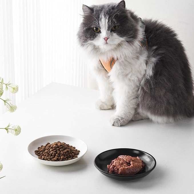 Ceramic Cat Food Bowl Set - 4 Pack Healthy Wide Shallow Cat Dishes Cat Plates for Food and Water, Anti Whisker Fatigue Cat Feeding Bowls for Pet Puppy Kittens, Dishwasher Microwave Safe, 5.8 In, Black
