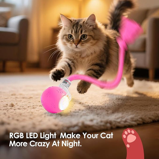 Interactive Cat Toys for Indoor Cats with Birds Chirping and RGB Light - Motion Activated Ball for Bored Adult Cats