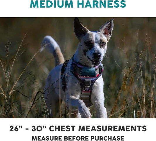 Embark Adventure Dog Harness, Reflective Trim No Pull Harness for Medium Sized Dog - Military Grade Nylon, Front Clip with Gel Lined Handle. Soft & Padded Puppy
