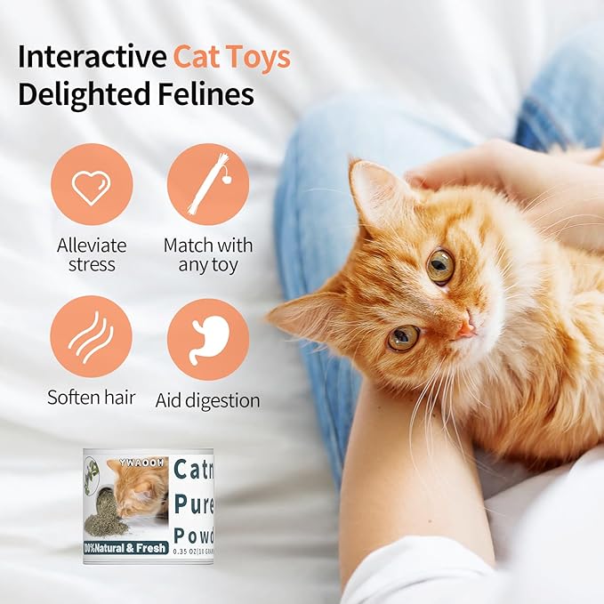 Premium Catnip for Cats & Kittens β Cold-Processed, High Potency Nepetalactone, 100% Pure Leaf-Only Catnip for Toys, Scratchers, Refills, Stimulates Play & Protects Furniture - 10g