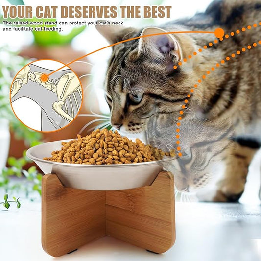 Elevated Cat Bowl with Bamboo Stand, 6.8" Extra Wide Shallow Raised Stainless Steel Cat Bowls Whisker Friendly, 2 Pack Food and Water Dishes for Indoor Cats, Kitten, Puppies and Small Dogs