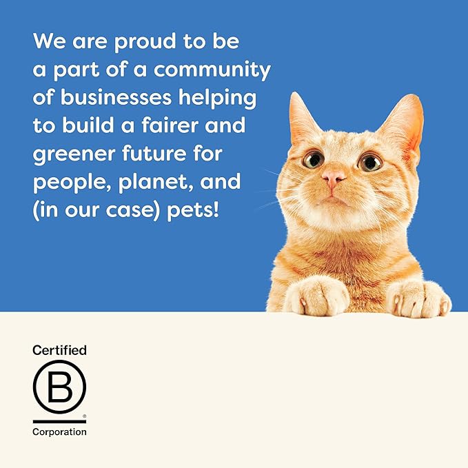 Applaws Natural Wet Cat Food in Gravy, Limited Ingredient Canned Wet Cat Food, No Additives, Made with Natural Ingredients, Fish Selection in Gravy Cans (12 x 5.5oz Cans)