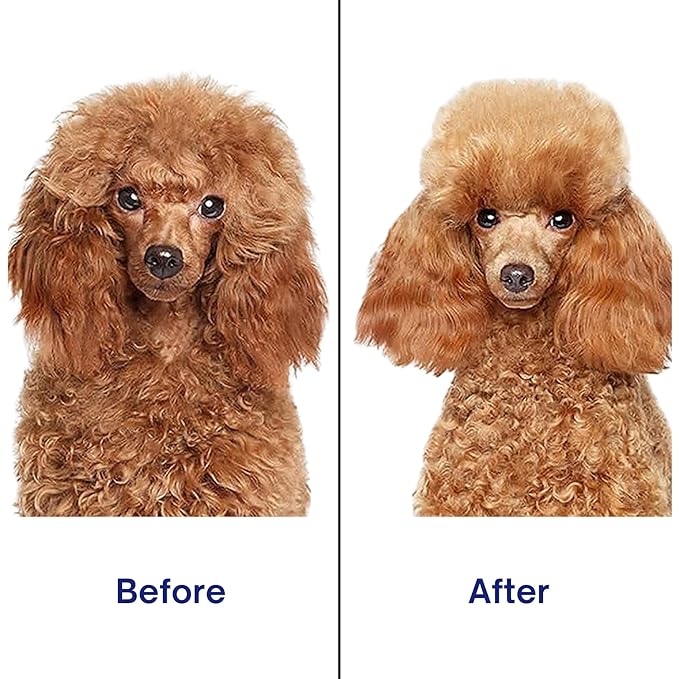 Self‑Cleaning Pet Grooming Brush for Dogs & Cats (Pink) – One‑Click Fur Release, Soft Rounded Bristles, Ergonomic Grip, Safe Deshedding for All Hair Types