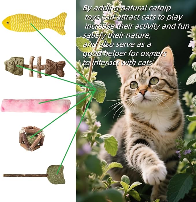 Natural Cat Toys Set with Catnip Fish & Bone,Catnip Plush Toy & Natural Silvervine Stick Cage Balls & cat nip for Cats Lolipop, 8-Piece cat Toys for Indoor Cats Interactive Pet Toys
