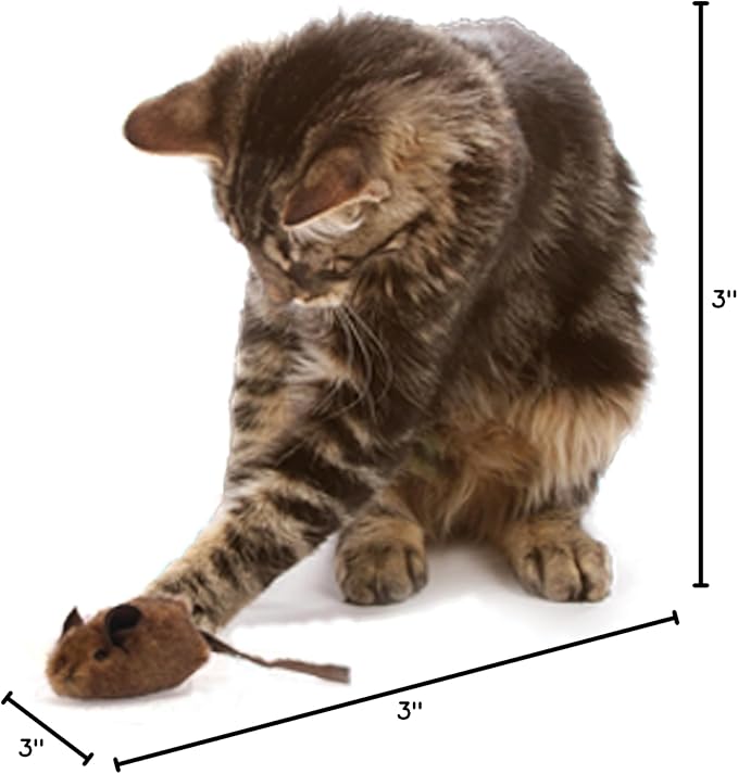 OurPets Play-N-Squeak Mouse Hunter Cat Toys (Interactive Cat Toy & Catnip Toy with Real Mouse Electronic Sound) Perfect Toys for Indoor Cats with Catnip