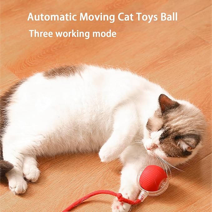 Interactive Cat Toy Ball for Indoor Cats - 3-Speed Smart Rolling Ball with Flashing Lights, USB Rechargeable Automatic Motion Kitten Toys for Bored Adult Cats & Playful Kittens