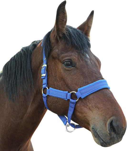 Horse Halter with Wool Lining, Adjustable Halter for Horses Satin Hardware to Prevent Friction, Breakaway Halters for Horses,Perfect for Traction and Performance