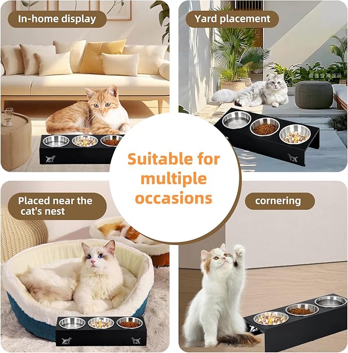 Elevated Cat Food Bowl,15°Tilted Stand Anti Vomiting Raised Cat Dishes for Food and Water,3 Stainless Steel Bowls,Non-Slip No Spill,Cats and Puppy