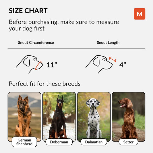 CollarDirect Dog Muzzle German Shepherd Dalmatian Doberman Setter Leather Basket Medium Large Breeds (Chestnut Brown, Medium)