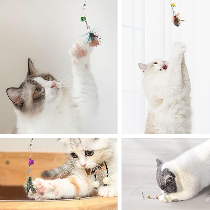 SONGWAY Cat Teaser Wand Toy - 10 Pieces Insect Cat Feather Toy Set with Retractable Wand and Feather Refills with Bell, Interactive Toys for Indoor Cats