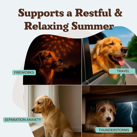 Natural Dog Company Calming Chews for Dogs, Stress & Anxiety Relief Supplement with Chamomile, Valerian Root & Melatonin, Natural Soothing Chews for Travel, Thunder, Fireworks & Separation (90 cnt)