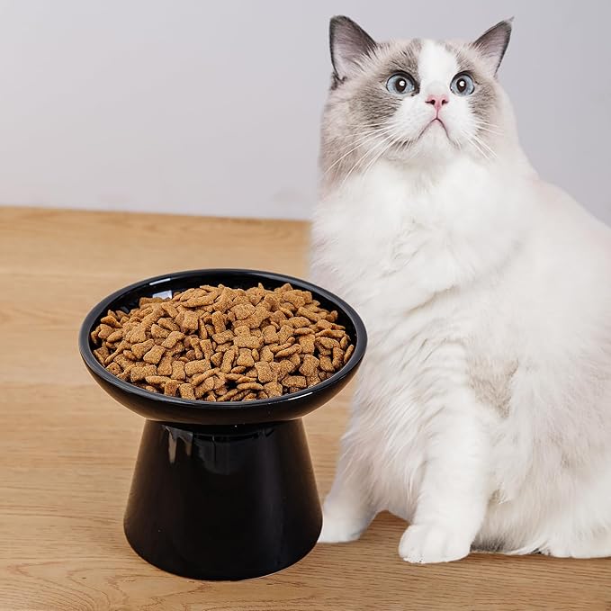 6.2 Inch Extra Wide Elevated Ceramic Cat Bowls, Food and Water Bowl Set for Elder Big Cats Small Dogs, Raised Design for Pet Easy Eating, Protect Cat's Spine Set of 2(Black)