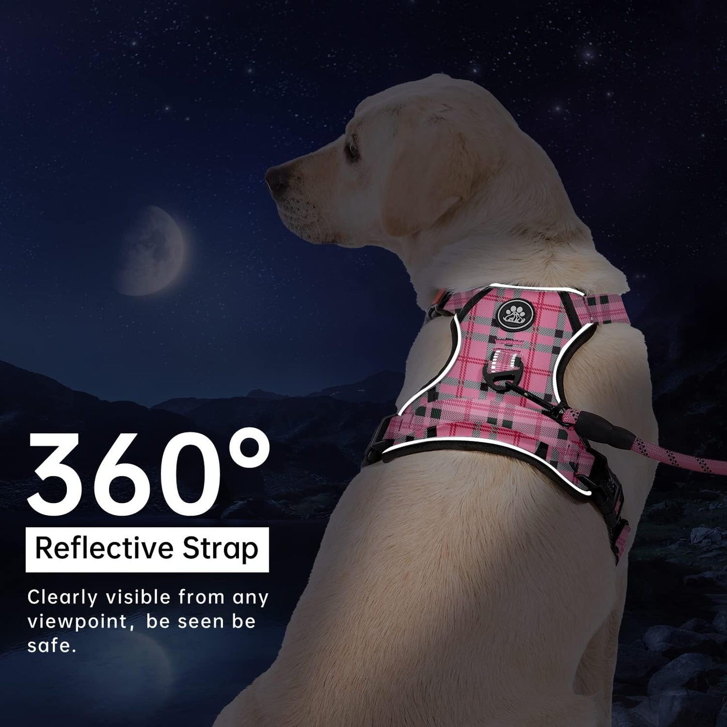 IVY&LANE No Pull Dog Harness with Leash Set, Reflective No Choke Pet Vest,Adjustable Oxford Dog Vest Harness with Easy Control Handle for Small Dogs (Checkered Pink,S)