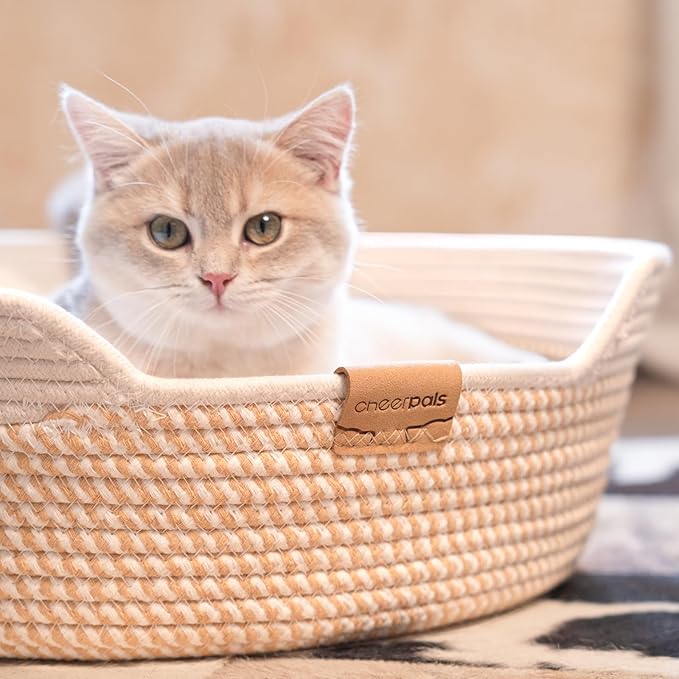 Cat Bed Basket with Cushion, Cute Pet Bed for Indoor Cats Couch, Kitten Bed for Medium and Large Cat, All Season Universal (White)