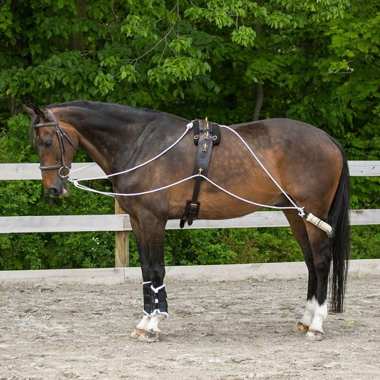 Advanced European Training System | Advanced Training Tool | Enhances Horse Carriage and Headset | Encourages Forward Movement | Strengthens Key Muscles | Not for Beginners