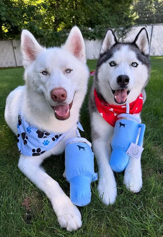 Pup Cup Tumbler Dog Toy – Birthday Dog Toy, Funny Squeaky Plush Puppy Gift, Cute Birthday Present (Chambray Blue)