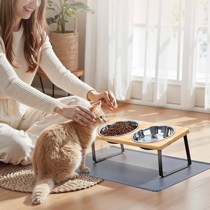 Elevated Cat Food Bowls with Mat Whisker Friendly, 15°Tilted Raised Cat Water Dishes Set for Anti Vomit, Pet Holder Stand Feeding Station for Indoor Kitten and Puppy Dog