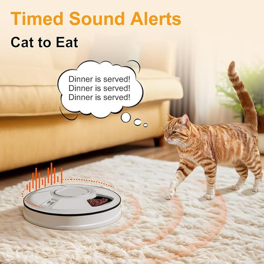 Automatic Cat Feeder, 6 Meal Timed Pet Dispenser Easily Programmable &Easy to Clean, Auto Feeder for Cats/Small Dogs(Black)