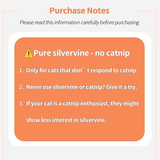 Cat Toys - Silvervine Powder 75g with 5 Little Pouches (Upgrade), Catnip Alternative, 100% Natural Silver Vine Gall Fruit Powder, Matatabi Cat Toy, Suitable for All Cat Ages