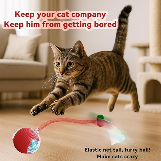 Interactive Cat Toys for Indoor Cats, Automatic Cat Toy with Elastic Mesh Tail, Electric Rolling Ball on Carpet, Chirping and Motion Activate Cat (Yellow)