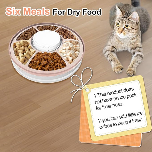Automatic Cat Feeder, 6 Meal Timed Pet Dispenser Easily Programmable &Easy to Clean, Auto Feeder for Cats/Small Dogs (Pink)