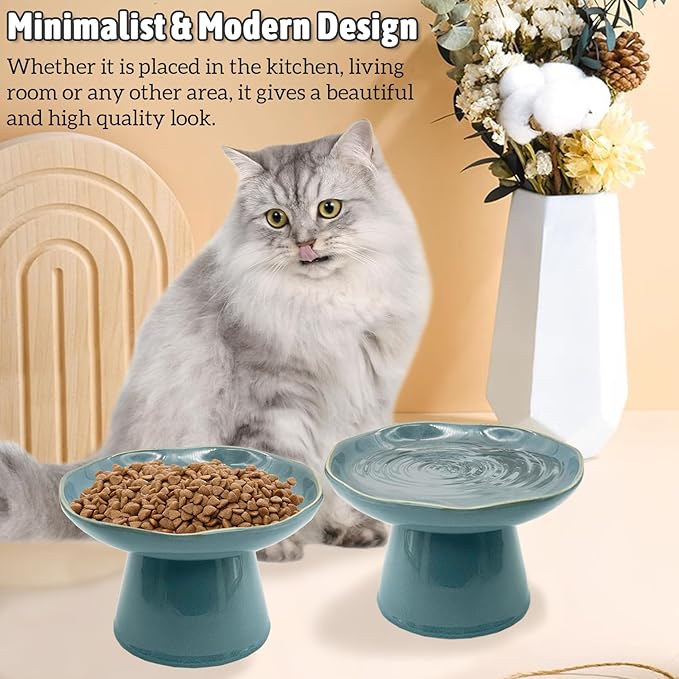 VCEPJH Elevated Cat Bowls 6.1in Shallow Cat Food Plate Pack of 2 Ceramic Raised Cats Dish Flat Anti Whisker Fatigue Wide Pet Food & Water Feeder for Indoor Kitty Kitten (Blue)